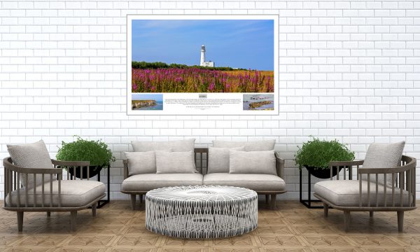 Flamborough Head framed photography