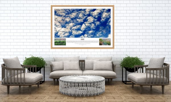 Collection of photography of Holme Moss Clouds