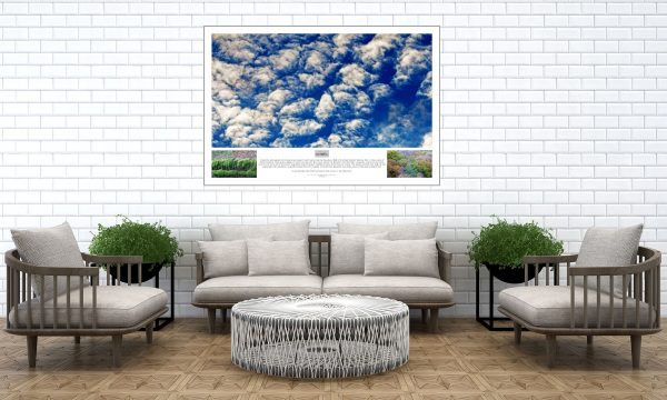 Collection of photography of Holme Moss Clouds