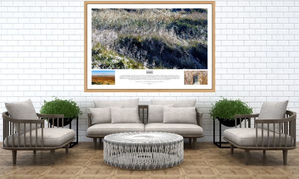 Photography of West Nab oak framed photography