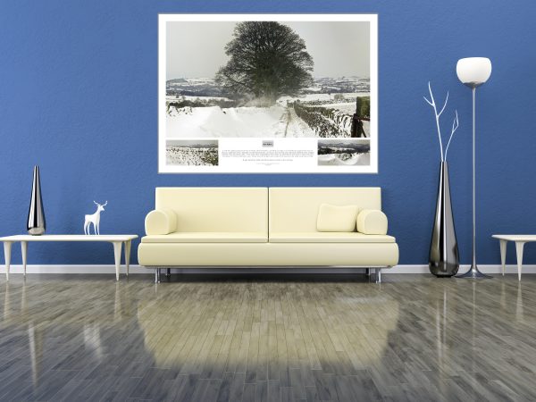Framed photography of Yorkshire Blizzard